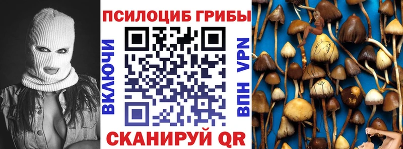 Псилоцибиновые грибы Psilocybe  Кулебаки 
